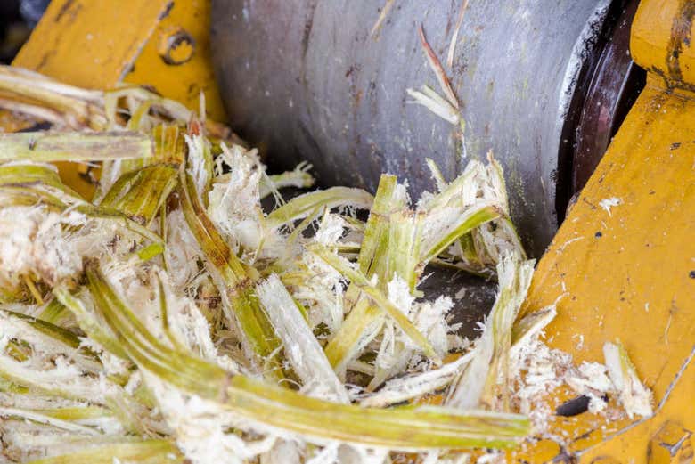 Extraction of sugar cane juice