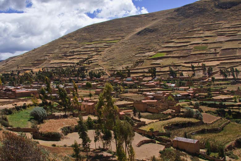 Granjas en la provincia de Tarma