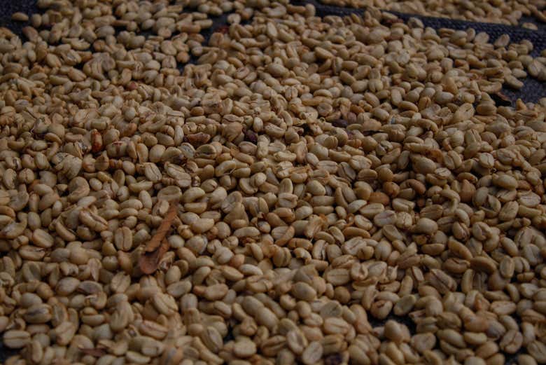 Granos de café