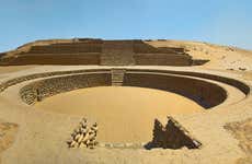 Excursión a Bandurria y humedales del Paraíso