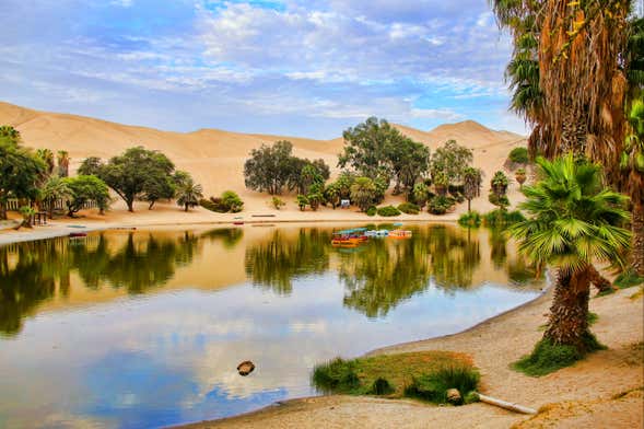 Excursión a Ica y Huacachina + Islas Ballestas