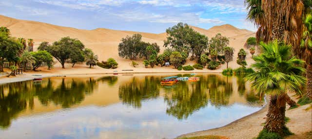 Excursión a Ica y Huacachina + Islas Ballestas