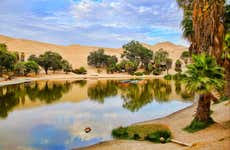 Excursión a Ica y Huacachina + Islas Ballestas