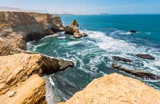 Isole Ballestas + Riserva nazionale di Paracas