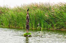 Excursão a Pantanos de Villa