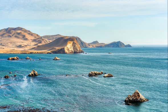 Excursión a Paracas y Huacachina