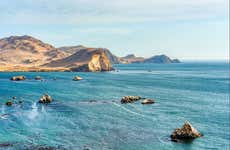 Excursión a Paracas y Huacachina
