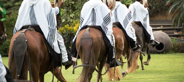 Tour por Pachacamac + Exhibición de caballos peruanos de paso