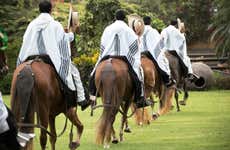 Tour por Pachacamac + Exhibición de caballos peruanos de paso