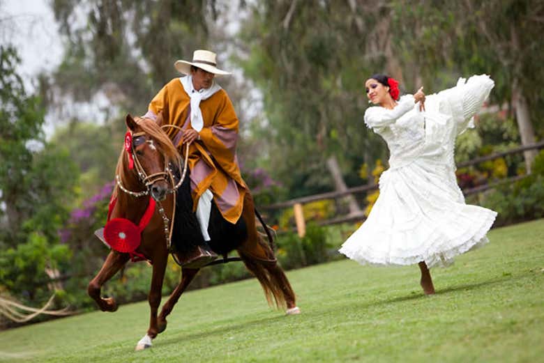 Marinera dance with the Peruvian Paso horse