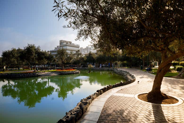 Bosque El Olivar in Lima