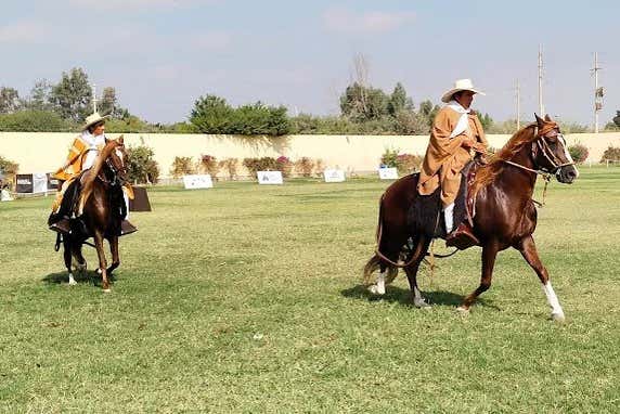 Espectáculo de Caballo Peruano de Paso