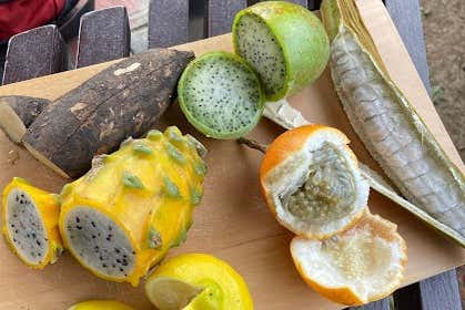 Frutas tropicales