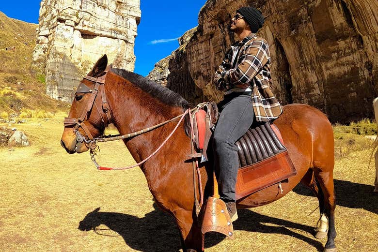 Enjoy a horseback riding