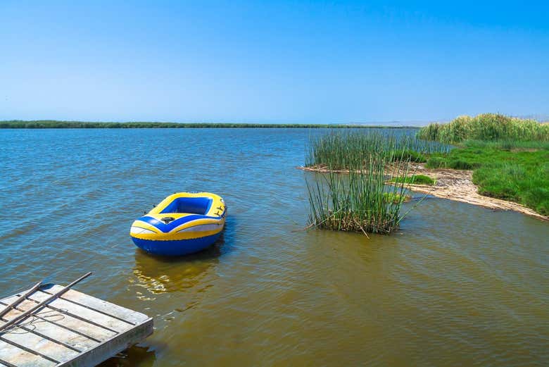 Paisagem dos pântanos