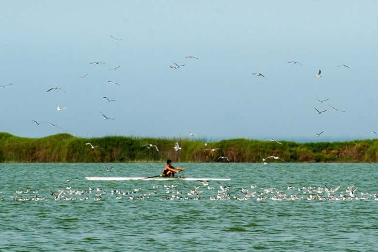 Pântanos do Paraíso