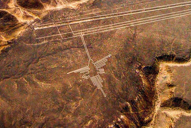 El Colibrí, una de las líneas más famosas de Nasca