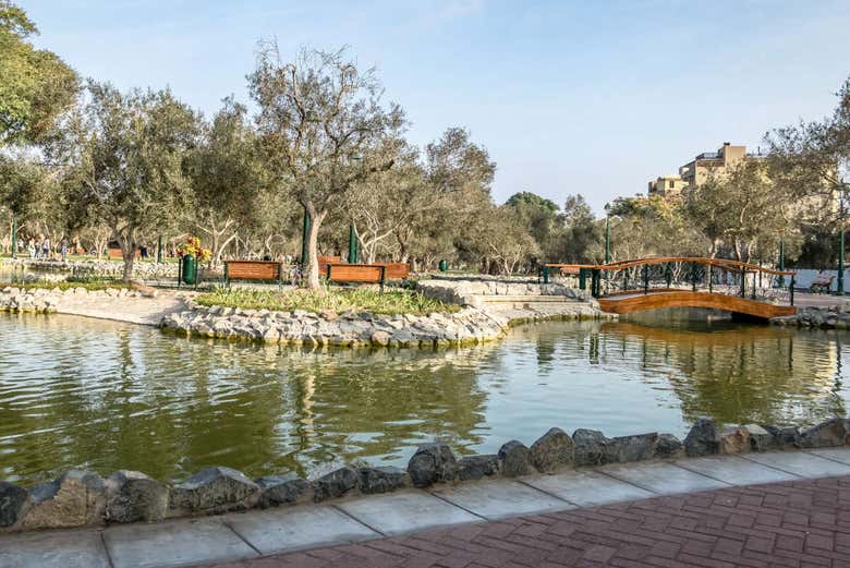 Parco El Olivar, nel distretto di San Isidro