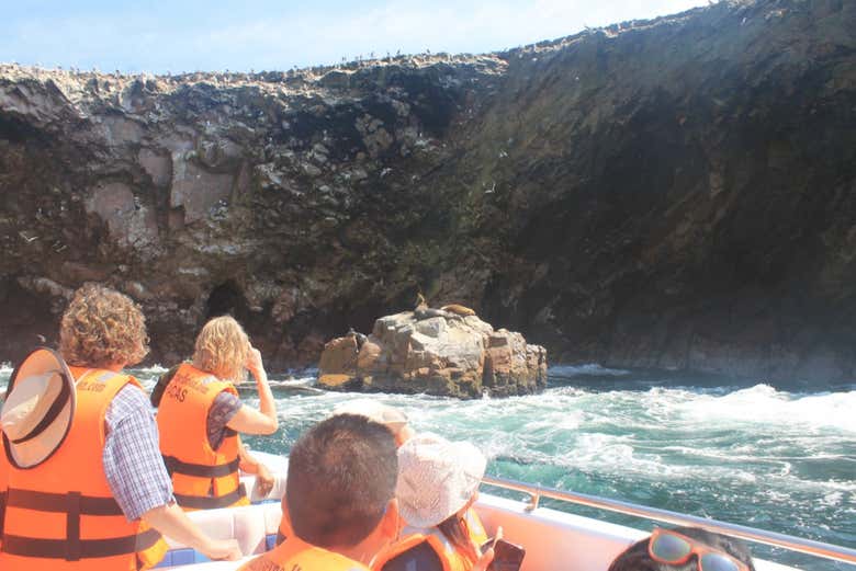 Passeio de lancha pelas ilhas Ballestas