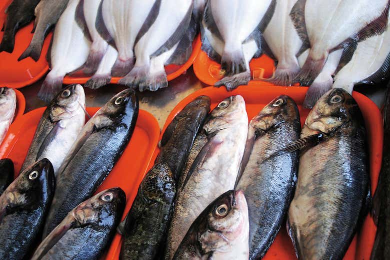 Pescados en el mercado