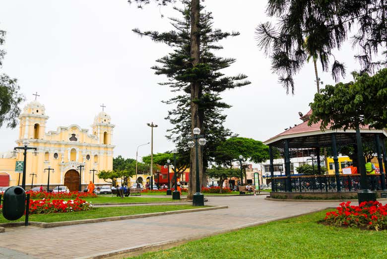 Surco es un distrito con gran tradición vitivinícola