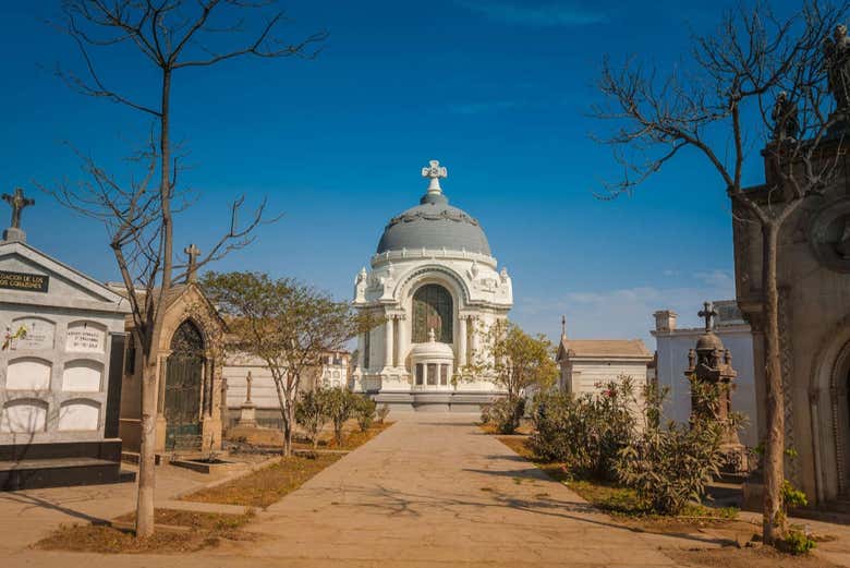 tour al presbitero maestro Cementerio Presbítero Maestro