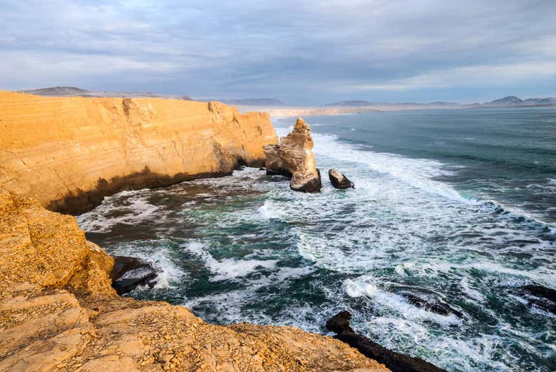 Reserva Nacional de Paracas
