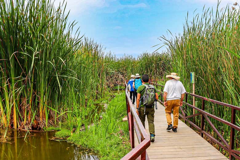 Explorando los Pantanos de Villa