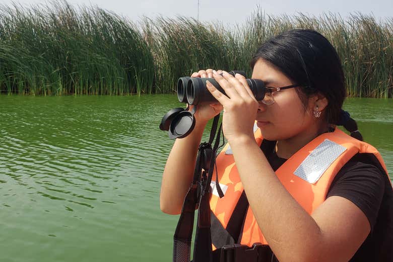 Podréis observar una gran diversidad de aves
