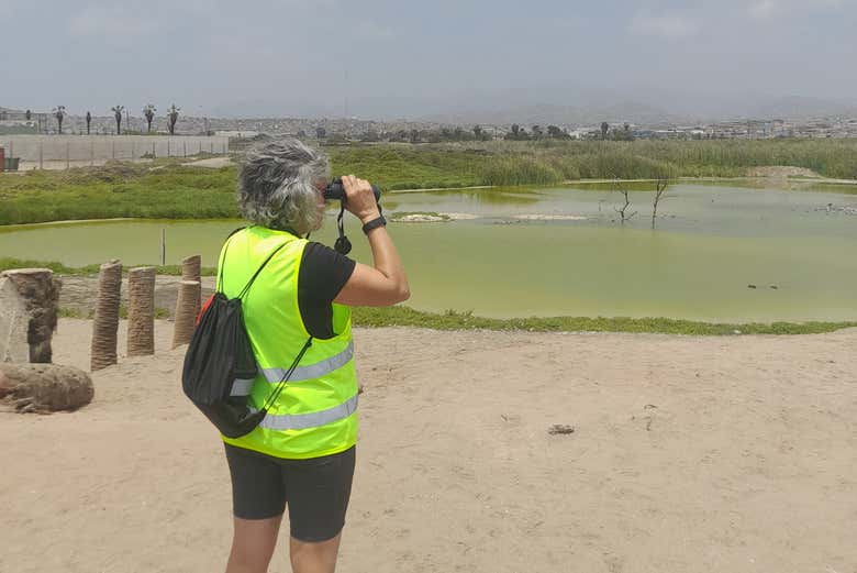 ¡No os lo perdáis!