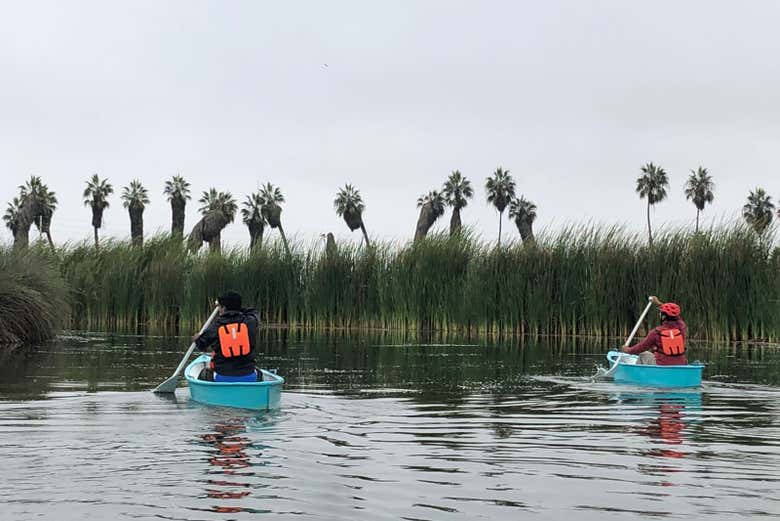 Realizaremos un paseo en canoa