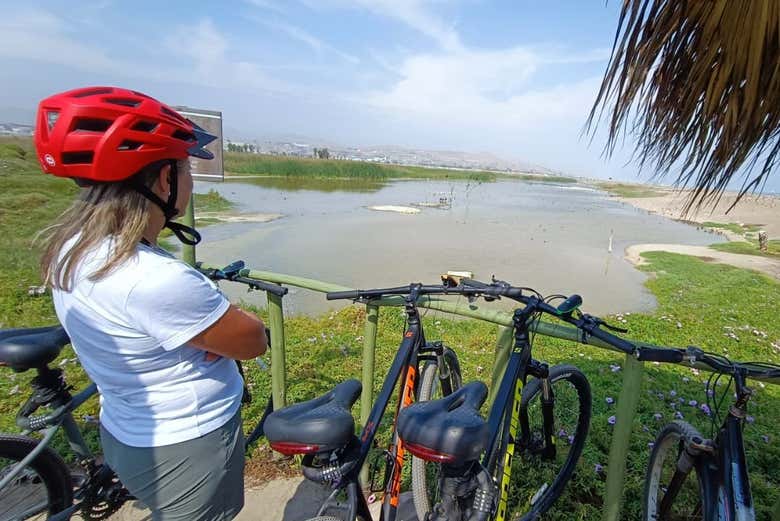 Disfrutando del tour en bicicleta