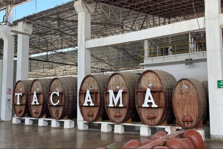Instalaciones de la Viña Tacama