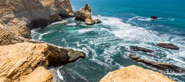 Ballestas Islands & Paracas National Reserve Day Trip