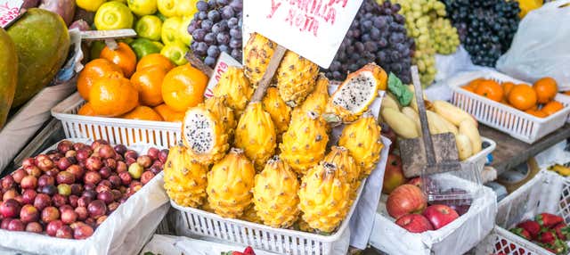 Gastronomia ed enoturismo a Lima