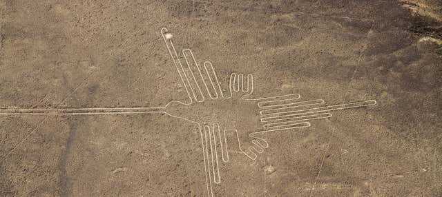 Vuelo sobre las Líneas de Nazca