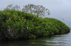 Excursión a los manglares de Tumbes y las playas de Punta Sal y Zorritos