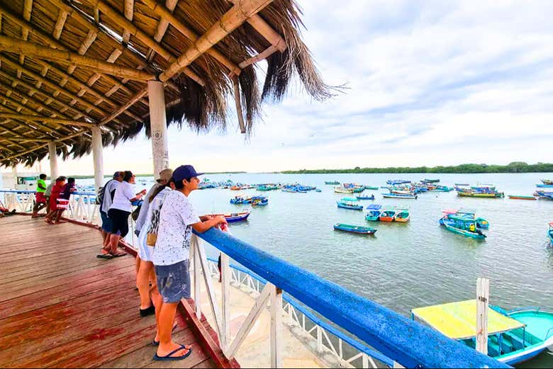 Contemplando Puerto Pizarro