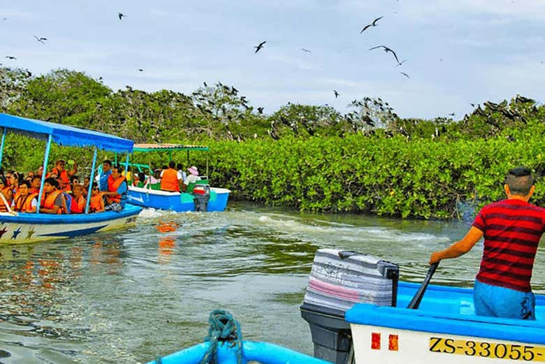 Avistamiento en la Isla de los Pájaros 