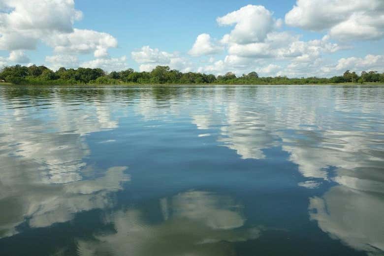Manglares de Tumbes