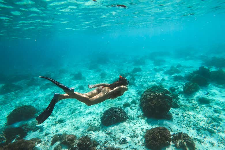 Contemplando la riqueza submarina de Máncora