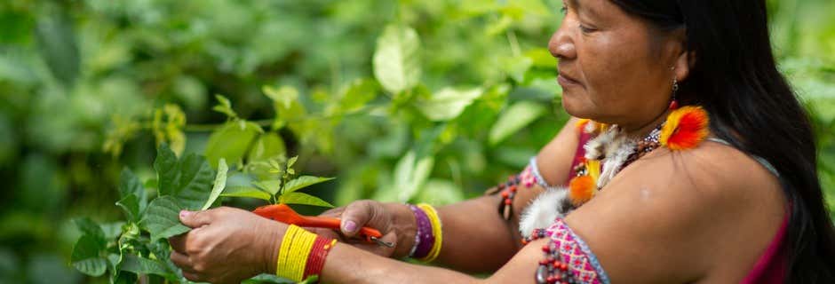 Excursiones de un día en Moyobamba