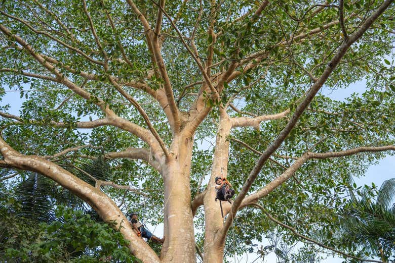 Immerse yourself in nature