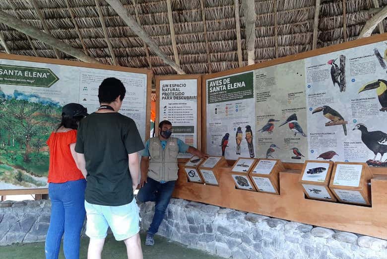 Listening to the guide's explanations