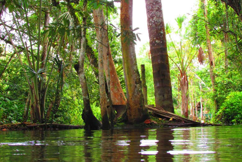 Landscapes of the reserve