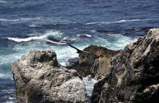 Excursão à baía de San Fernando + Sandboard em Nazca