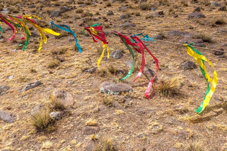 Ropes used to guide the animals