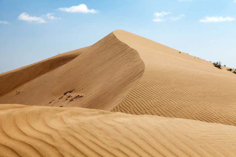 Duna del Cerro Blanco
