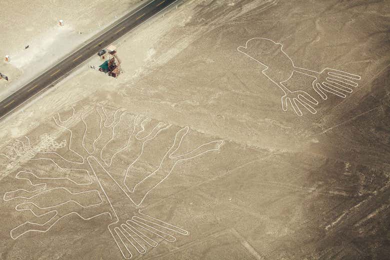 Líneas de Nazca