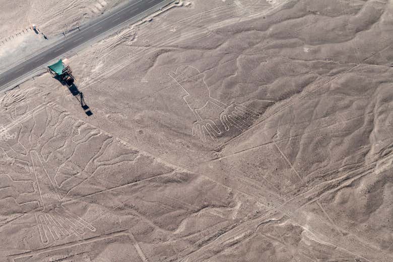 Linee di Nazca